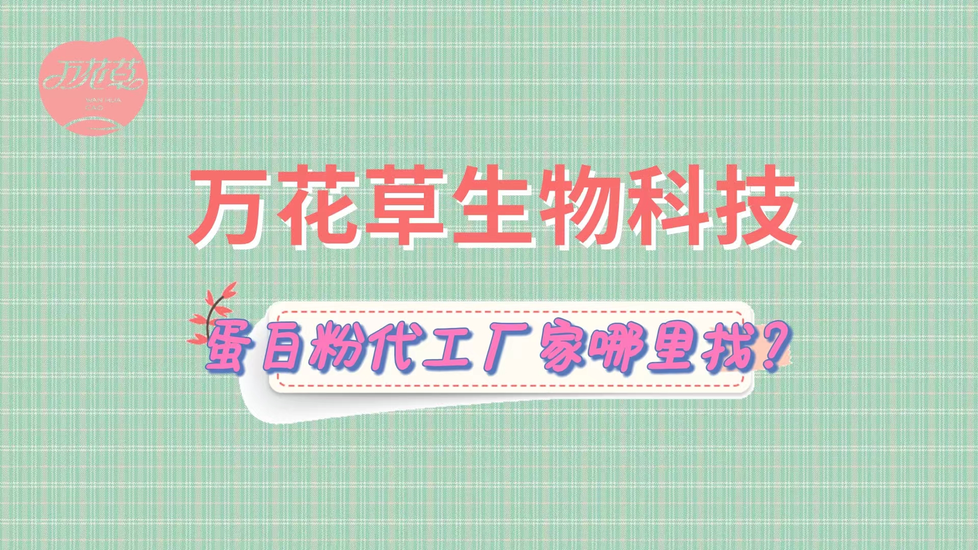 蛋白粉代加工，怎么找專業源頭廠家？