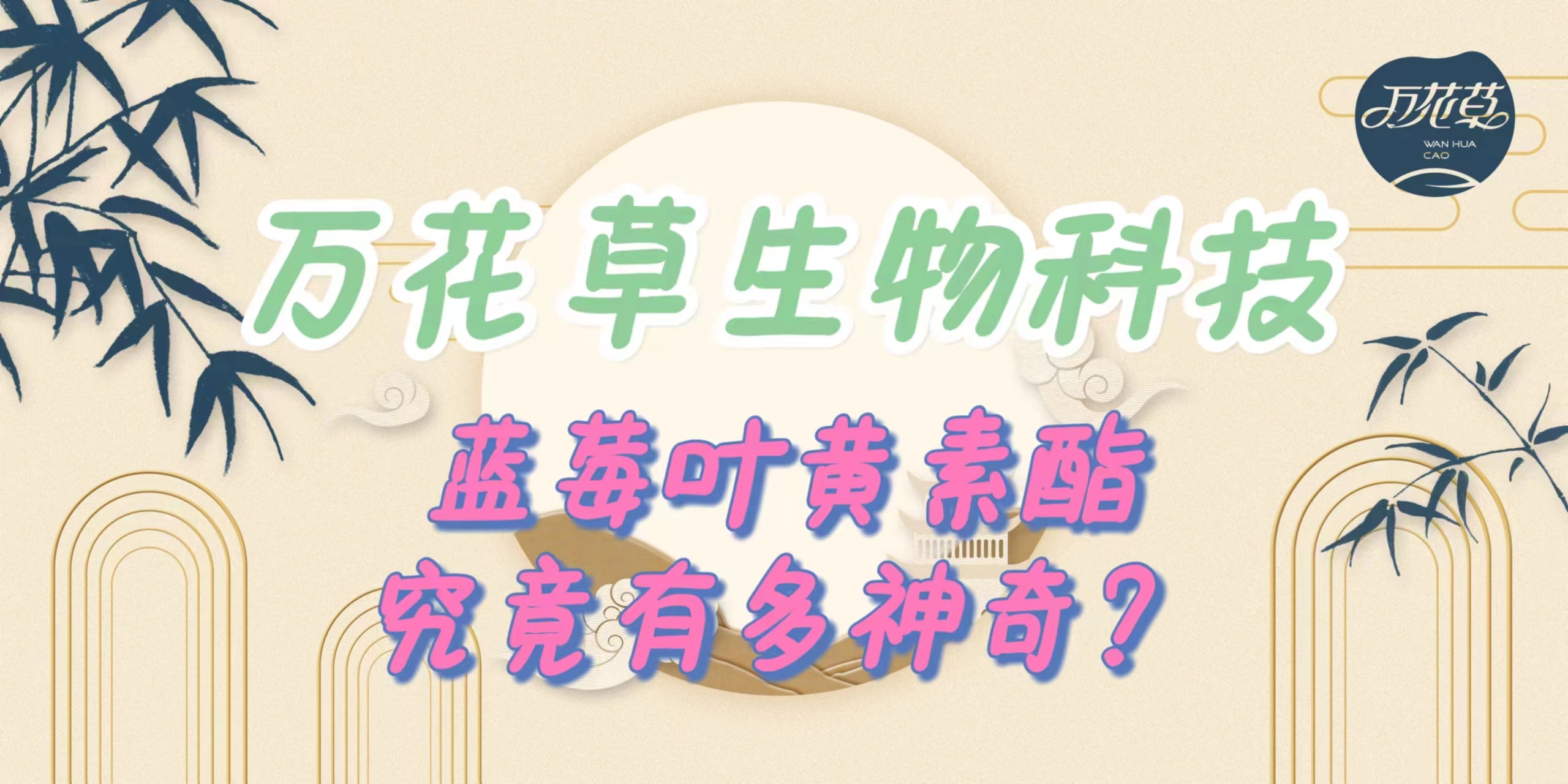 升級(jí)配方，重磅出擊，萬(wàn)花草藍(lán)莓葉黃素酯究竟有多神奇？